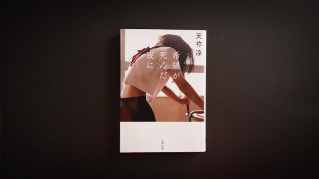 あさのあつこ ありふれた風景画 この恋を 終わらせたくはない 百合読書 あさのあつこ ありふれた風景画 この恋を 終わらせたくはない 百合読書