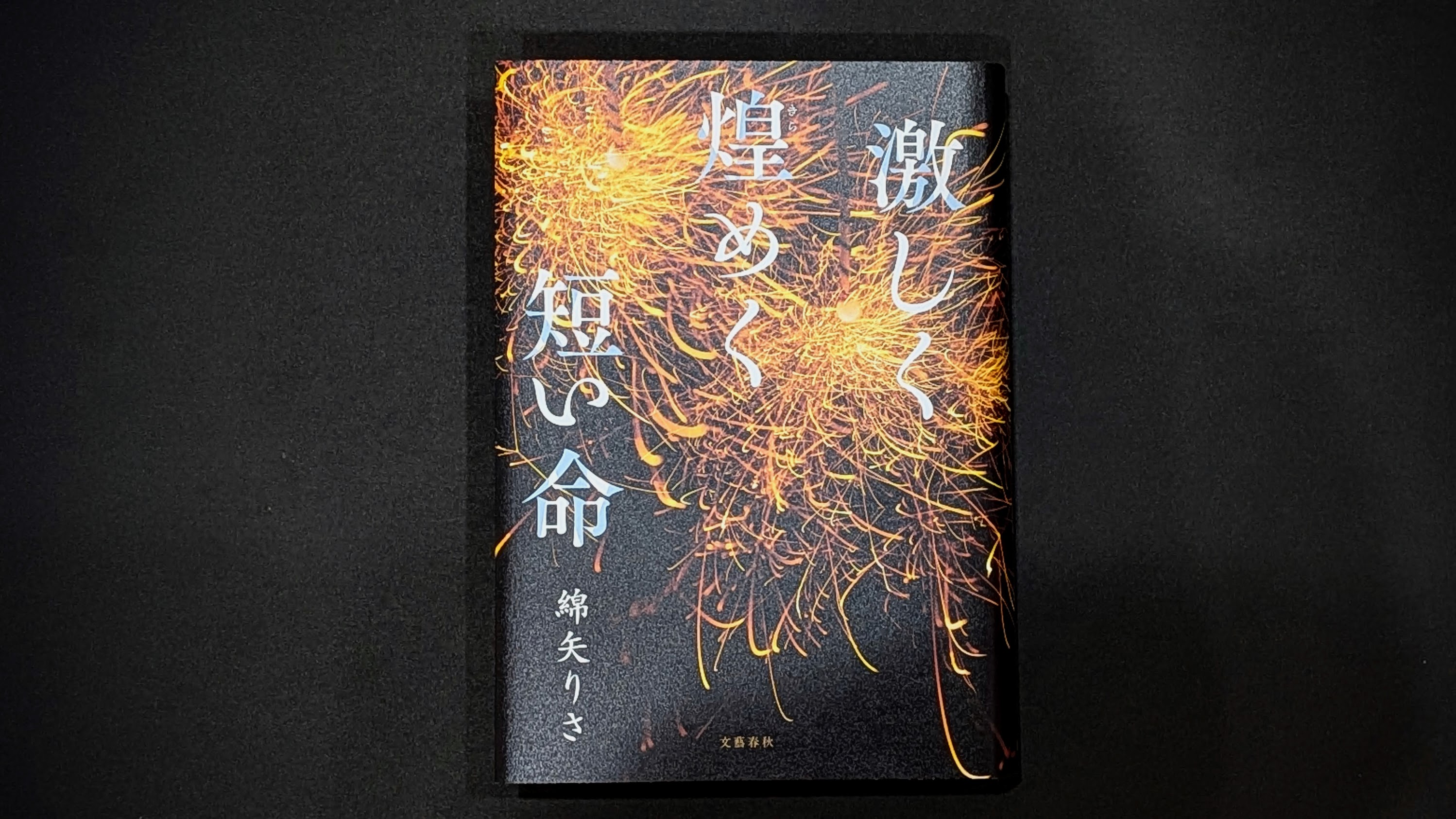傷つけて、傷つけられて、それでも。『激しく煌めく短い命』
